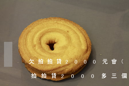 欠拍拍貸2000元會(huì)告你嗎(欠拍拍貸2000多三個(gè)月了會(huì)被起訴嗎)
