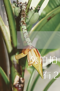 欠拍拍貸2000兩個(gè)月了(拍拍貸還有2000多沒(méi)還會(huì)怎么樣)