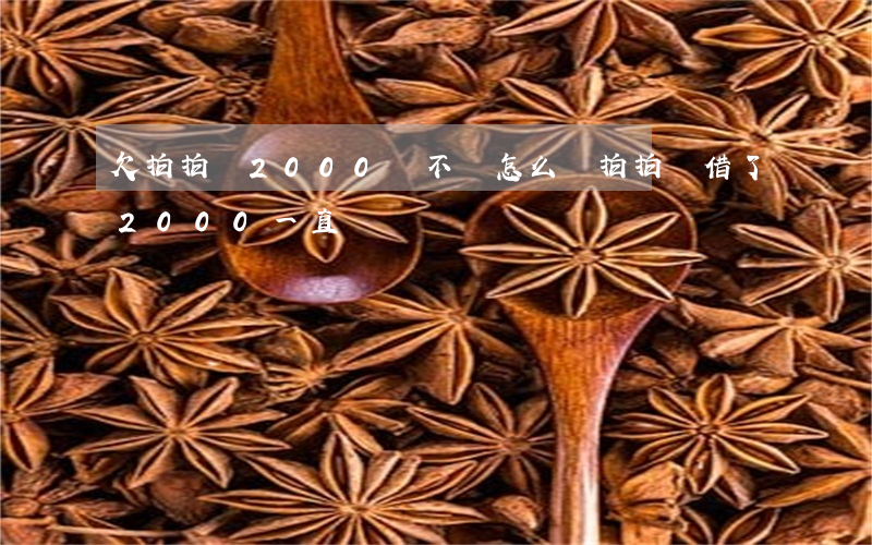 欠拍拍貸2000塊不還怎么辦(拍拍貸借了2000一直沒還)