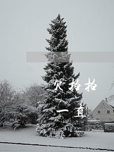 欠拍拍貸2000沒還(拍拍貸借了2000一直沒還)