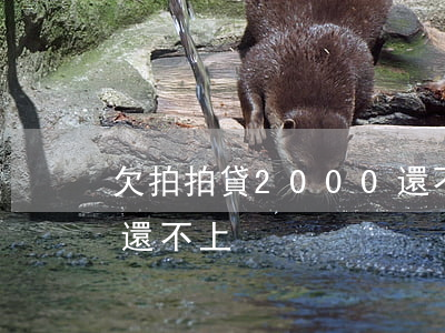 欠拍拍貸2000還不上(欠拍拍貸2000還不上)