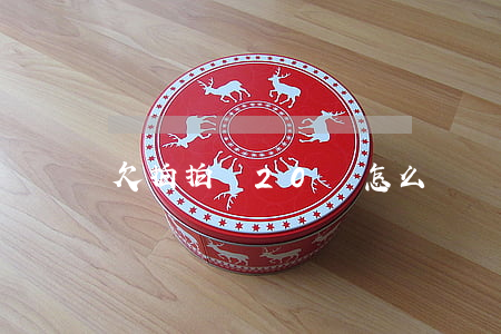 欠拍拍貸20萬怎么樣