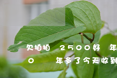 欠拍拍貸2500好幾年了(拍拍貸欠1000塊兩年多了今天收到律師信息)