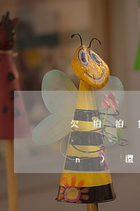 欠拍拍貸2千不還了(拍拍貸借了兩萬(wàn)還不上怎么辦)
