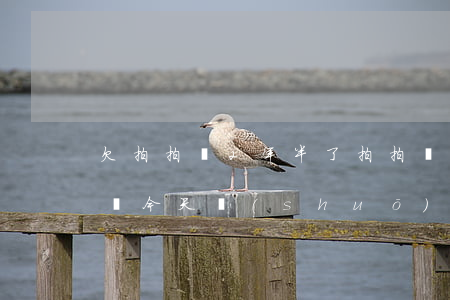 欠拍拍貸2年半了(拍拍貸兩年沒(méi)還 今天說(shuō)已經(jīng)起訴我了)