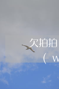 欠拍拍貸2萬(wàn)(我在拍拍貸借了2萬(wàn)沒有還)