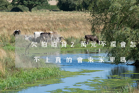 欠拍拍貸2萬元不還會怎樣(欠拍拍貸2萬還不上真的會來家里嗎?)