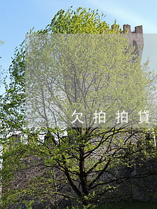 欠拍拍貸2萬多逾期快二年了