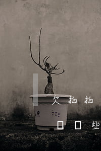 欠拍拍貸2萬沒錢還了(欠拍拍貸的錢三年沒還,這些后果你要知道)