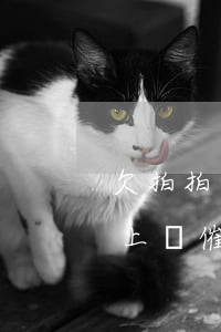 欠拍拍貸30000(欠拍拍貸3000說的上門催收是真的嗎)