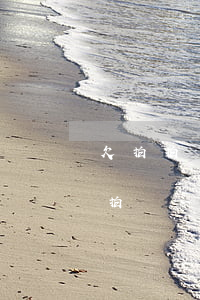 欠拍拍貸3000三年沒(méi)還6(拍拍貸一萬(wàn)多三年沒(méi)還了)
