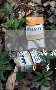 欠拍拍貸3000六年了(拍拍貸欠了6000多半年多說要起訴我是真的么)