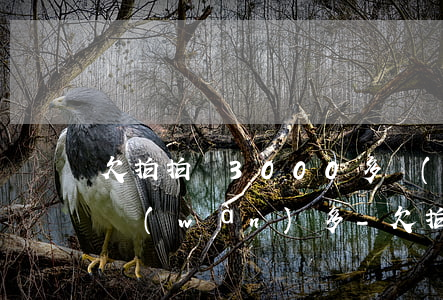 欠拍拍貸3000多現(xiàn)在賠三萬(wàn)多-欠拍拍貸3000多現(xiàn)在賠三萬(wàn)多正常嗎