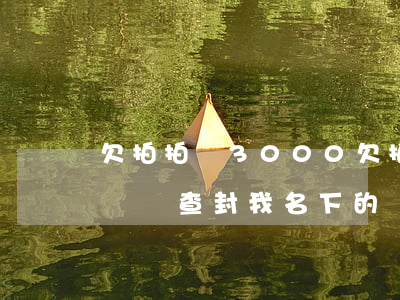 欠拍拍貸3000(欠拍拍貸3000三年沒還會查封我名下的車嗎?)