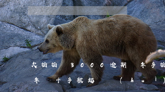 欠拍拍貸3000逾期兩年多(拍拍貸欠款三年兩千多被起訴會(huì)怎么樣)