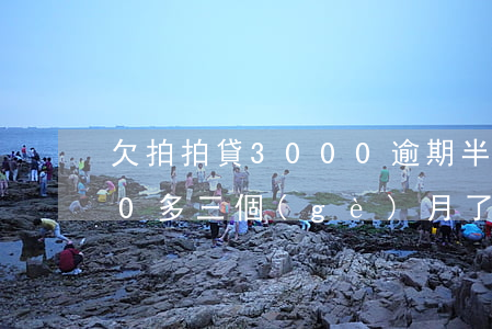 欠拍拍貸3000逾期半年(欠拍拍貸2000多三個(gè)月了會(huì)被起訴嗎)