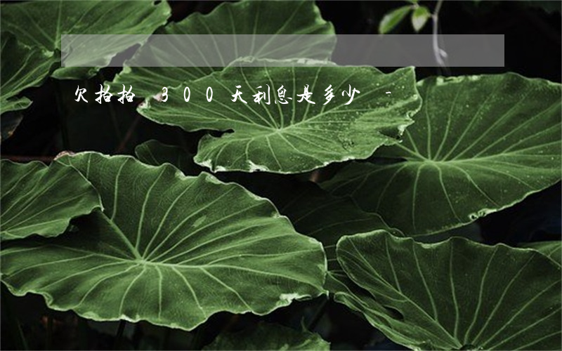 欠拍拍貸300天利息是多少錢-