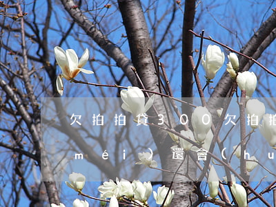 欠拍拍貸300(欠拍拍貸3000三年沒(méi)還會(huì)查封我名下的車(chē)嗎?)