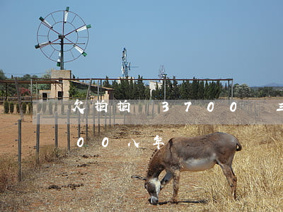 欠拍拍貸3700塊三年沒還(拍拍貸借3000八年沒還)