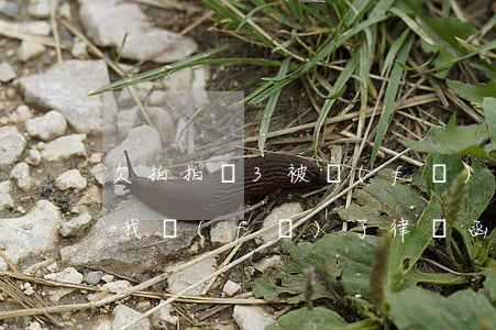 欠拍拍貸3被發(fā)真律師函(拍拍貸給我發(fā)了律師函已經收到了)