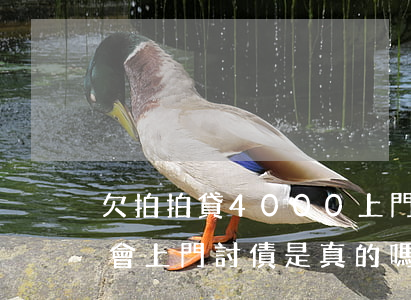 欠拍拍貸4000上門(拍拍貸欠1000多會上門討債是真的嗎)