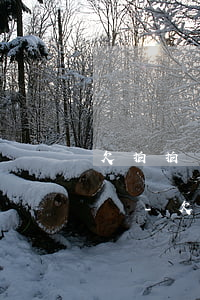 欠拍拍貸4000多要開(kāi)庭了咋辦-欠拍拍貸4000然后說(shuō)我被起訴了是真的嗎