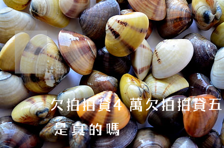 欠拍拍貸4萬(欠拍拍貸五千塊錢立案起訴我是真的嗎)