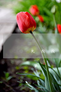 欠拍拍貸4萬逾期半年(欠拍拍貸4萬逾期半年)