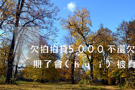 欠拍拍貸5000不還(欠拍拍貸5000 逾期了會(huì)被真的起訴嗎)