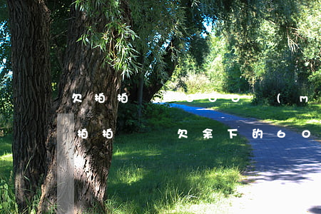 欠拍拍貸5000沒(méi)錢還怎么辦(拍拍貸還欠余下的600多塊錢 不還好么)