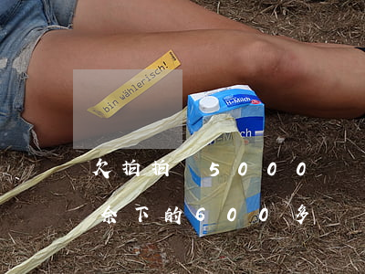 欠拍拍貸5000沒錢還怎么辦(拍拍貸還欠余下的600多塊錢 不還好么)