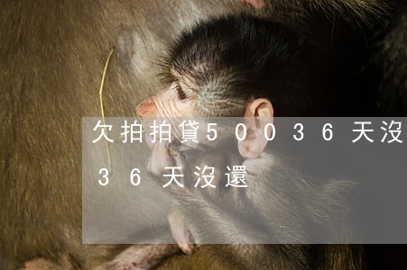 欠拍拍貸500 36天沒還(欠拍拍貸500 36天沒還)