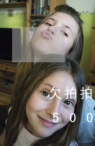 欠拍拍貸500元兩年利息是多少(拍拍貸借50000利息多少)