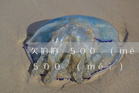 欠拍拍貸500沒(méi)還(拍拍貸借了500沒(méi)還)