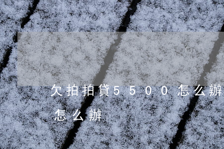 欠拍拍貸5500怎么辦(欠拍拍貸5500怎么辦)