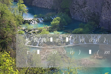 欠拍拍貸5萬(wàn)怎么辦(上海拍拍貸5萬(wàn)沒(méi)還后果)