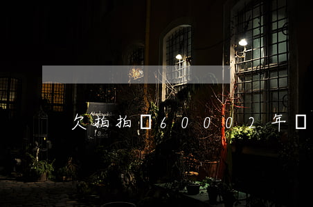 欠拍拍貸60002年沒(méi)還