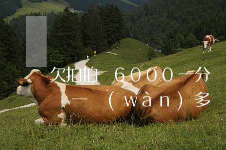 欠拍拍貸6000一分沒(méi)還(拍拍貸一萬(wàn)多沒(méi)還)