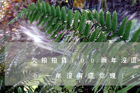 欠拍拍貸700兩年沒還(拍拍貸欠款8000一年沒有還你現(xiàn)在應(yīng)該還多少錢)