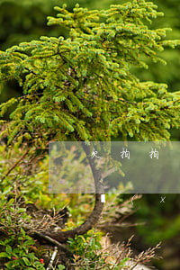 欠拍拍貸7200不還(我欠拍拍貸8000,現(xiàn)在已經(jīng)無(wú)力償還了,怎么辦?)