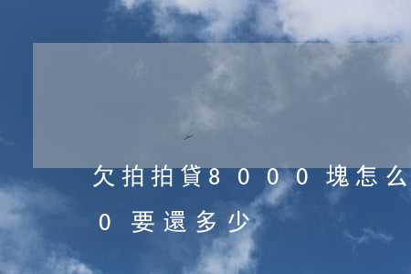 欠拍拍貸8000塊怎么還(拍拍貸借8000要還多少)