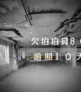 欠拍拍貸800逾期10天(欠拍拍貸800逾期10天)
