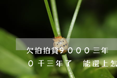 欠拍拍貸9000三年沒(欠款拍拍貸2000千三年了沒能還上怎么辦)
