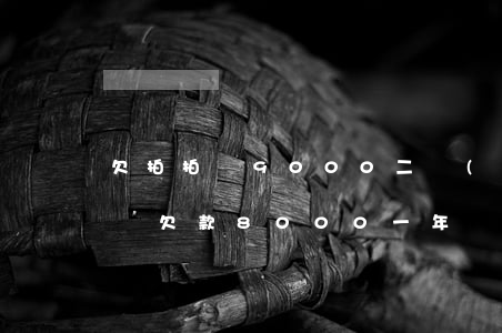欠拍拍貸9000二個(gè)月沒還(拍拍貸欠款8000一年沒有還你現(xiàn)在應(yīng)該還多少錢)