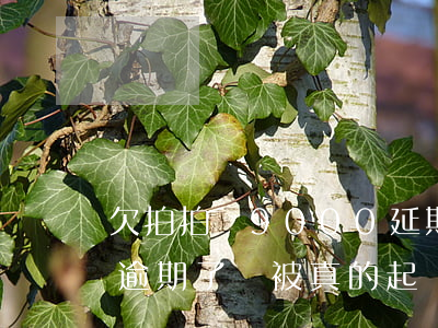 欠拍拍貸9000延期了(欠拍拍貸5000 逾期了會被真的起訴嗎)