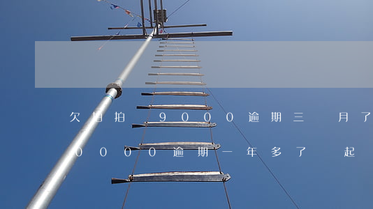 欠拍拍貸9000逾期三個月了(欠拍拍貸10000逾期一年多了 會起訴我嗎)