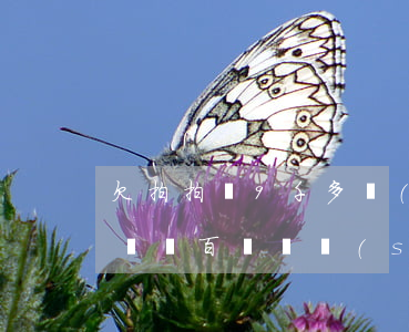 欠拍拍貸9千多會(huì)坐牢嗎(欠拍拍貸幾百塊錢說(shuō)要走法律程序,是真的嗎?)