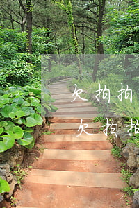 欠拍拍貸一千塊錢說(shuō)要去家里(欠拍拍貸一千塊錢說(shuō)要去家里)