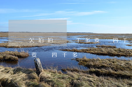 欠拍拍貸一千多要還四千多(欠拍拍貸一千多要還四千多)