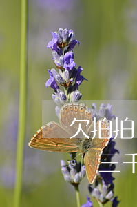 欠拍拍貸一千會(huì)被起訴嗎(欠拍拍貸三千塊一年多了會(huì)不會(huì)被法院起訴)